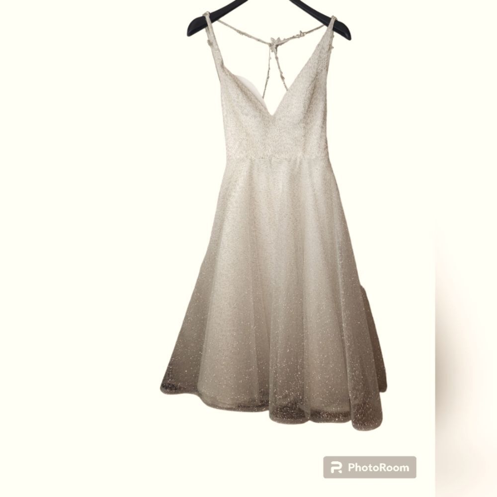 Lazaro shimmery gown